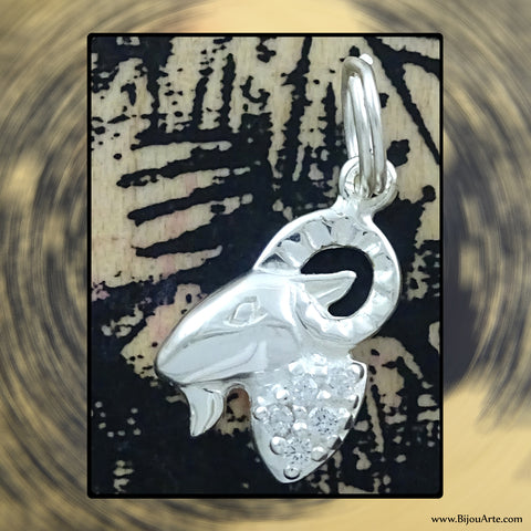 Sterling Silver Astrological Charm: CAPRICORN